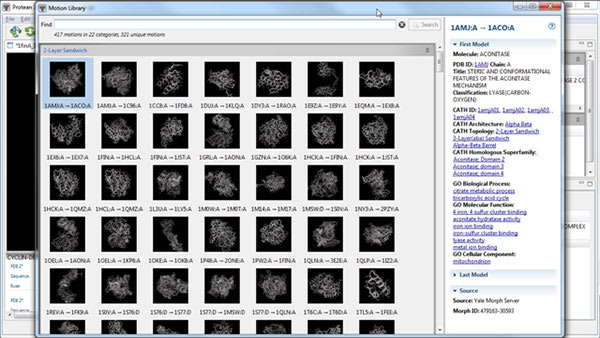 Motion Library from Protean 3D protein analysis software
